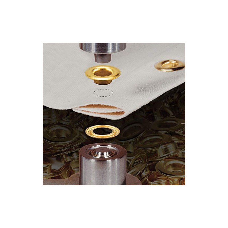 Stimpson E2RRGSWSS100 Stainless Steel Rolled Rim Grommet and Spur Washer