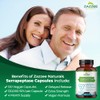 Zazzee Delayed Release Serrapeptase, 120,000 SPU per Capsule, 120 Vegan
