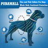 Flea Collar for Dogs, 2 Pack Collar for Dogs, 12