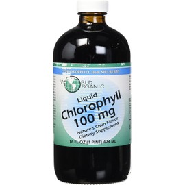 World Organic 100mg Liquid Chlorophyll - 16 Oz Exp 05-24