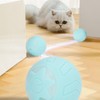 Smart Pet Toy Ball ABS and Silicone Automatic Rolling Toy