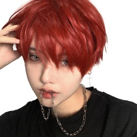 Wig, Men's Short, Natural Wig, Men's Clothing, Cosplay, Cosplay, Everyday, Heat Resistant, Wig, Women's, Cool, Full Wig, Men, Adjustable, Handsome Breathable, Unisex (Brown and Red)