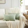 Fancy Homi Sage Green Lumbar Decorative Throw Pillow Covers 12x20