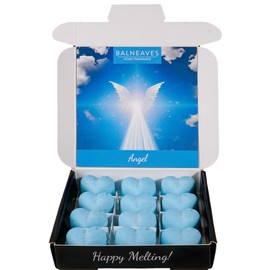 Angel Wax Melts | Strong Scented Wax Melt Gift Set | 12 x 6g Hearts | Hand Made in The UK | Vegan Friendly | Long Lasting Soy Wax Melt Sample Box