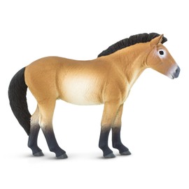 Safari Ltd. Przewalski's Horse Figurine - Lifelike 5" Horse Figure - Educational Toy for Boys, Girls, and Kids Ages 3+