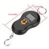 Electric Digital Fish Scale Portable Weight Scale Data Lock Function