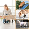6 PCS Calcetines antideslizantes para perros,Protector de patas para perros