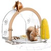 Window Squirrel Feeder, Large Squirrel Feeder for Outside,Funny Squirrel House
