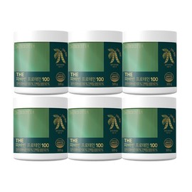 닥터루템 파바빈 잠두콩 프로틴 식물성 단백질 분말 6통 Dr.Lutem Fava Bean Protein Plant-Based Protein Powder 6 Units