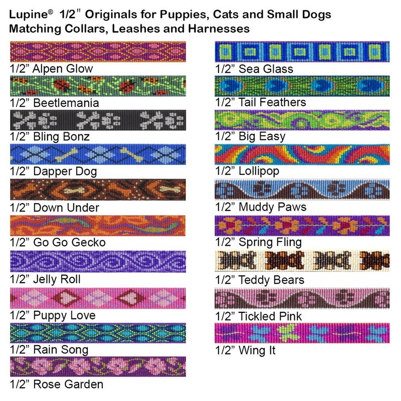 LupinePet Originals 1/2" Rain Song Cat Safety Collar , 8-12"
