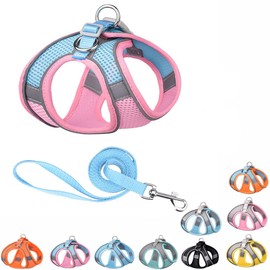 Harness Small Sized Dog, No-Pull Puppy Vest with Leash Set, Breathable Mesh Reflective Pet Harnesses for Outdoor Walking for XXS Xs Small Medium Breed Dogs Cats, Pink Blue XXSmall