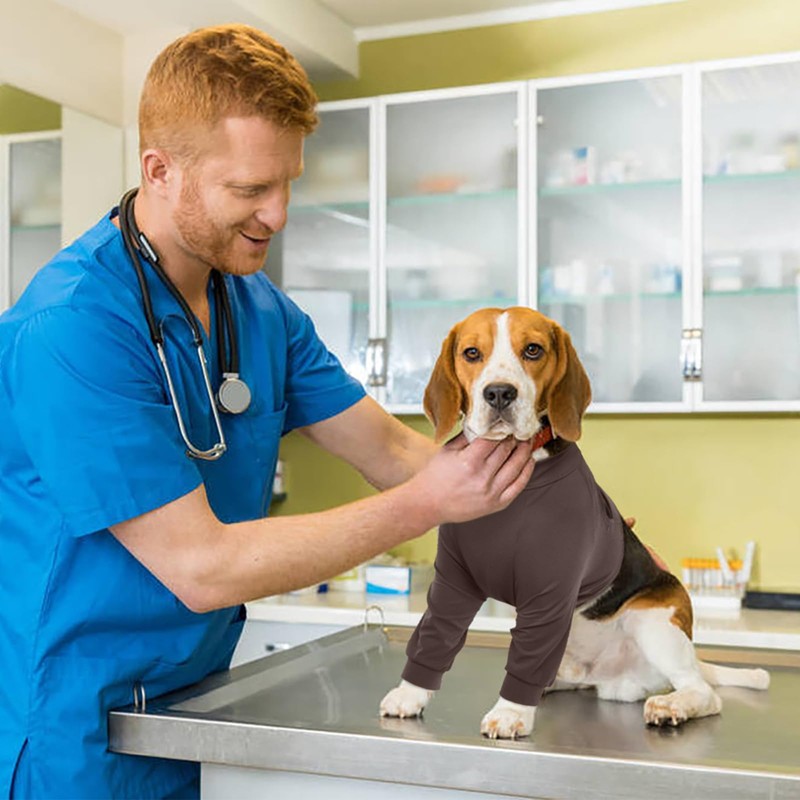 Kuoser XXL Dog Surgery Recovery Suit, Dog Recovery Suit Female,