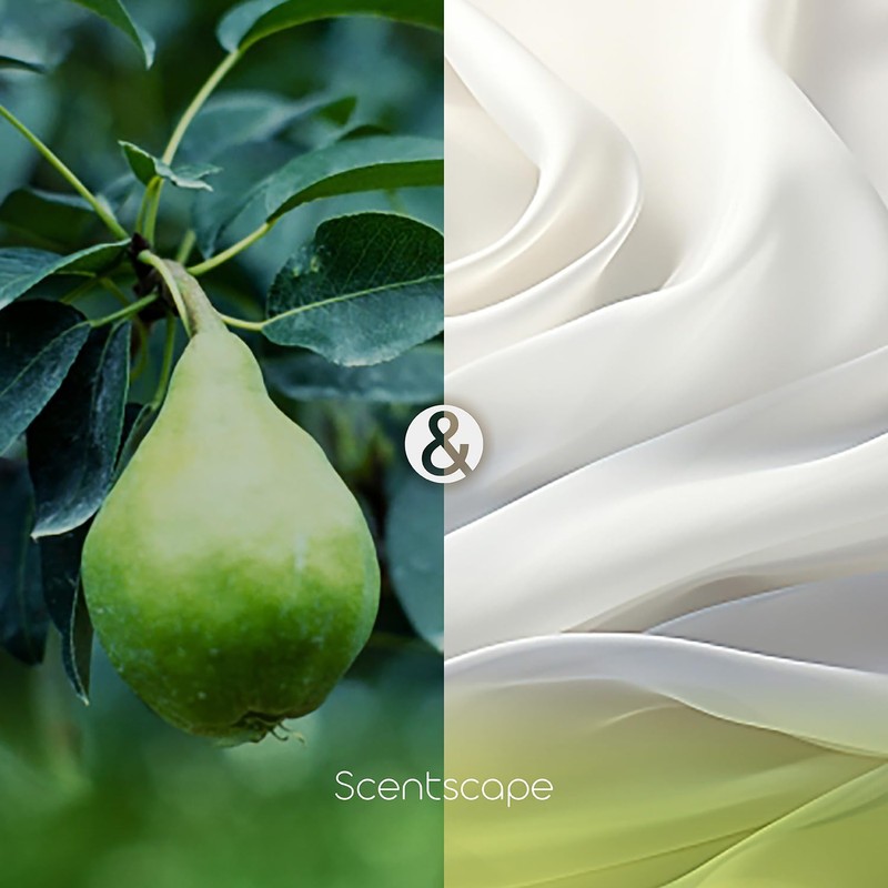 Nippon Kodo 38220 Scentscape Incense Pear & White Musk, 30