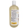 Mundo Lomito Shampoo para Perros Avena y Miel Natural con