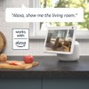 Blink Mini Pan-Tilt Camera | Rotating indoor plug-in pet security