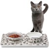 Sit-n-Stay Paws Cat Set