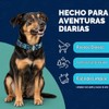 Collar de perro de piel, diseo bordado, collar de perro