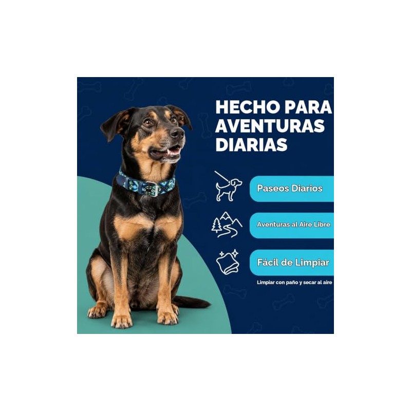 Collar de perro de piel, diseo bordado, collar de perro