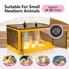 142L Chicken Brooder Box for Chicks Kit with Heater Chicks