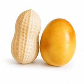 BLBATBK 2 PCS Peanut Squishy, Potato Squishy, Combined Stylish Desktop Ornament For Household Indoor Furnishing, Tabletop Display And Daily Leisure Pastime Use