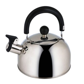 Bestco NQ-0202 Eder Kettle, Whistle, Stainless Steel, 0.4 gal (1.6 L), Compatible with Gas Fire