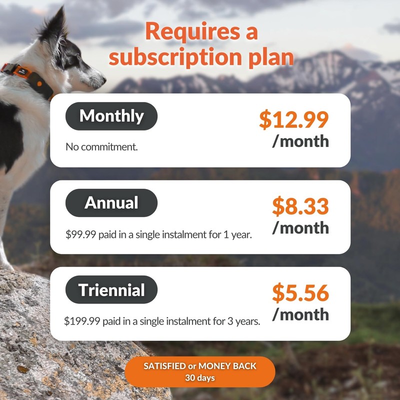 Weenect Dog XT - New GPS Collar for Dogs |