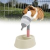 Pet Standing Water Dispenser 2 in 1 Cat Dog Standing
