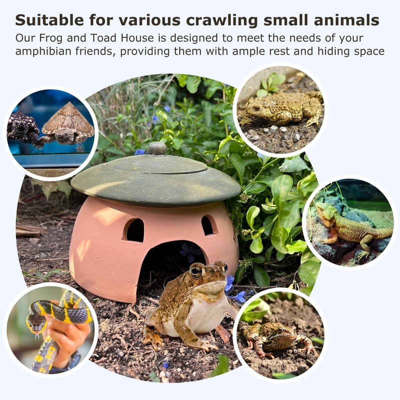 Terracotta Reptile Cave with Green Lid - 8 * 6