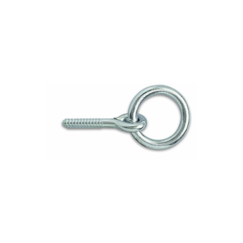 Chapuis 445/10X55Z Ring Bolt with Screw Galvanised Steel Diameter 10
