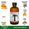 Essential Depot Baobab Unrefined Carrier Oil - 4oz