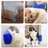 Massage Pet Cat