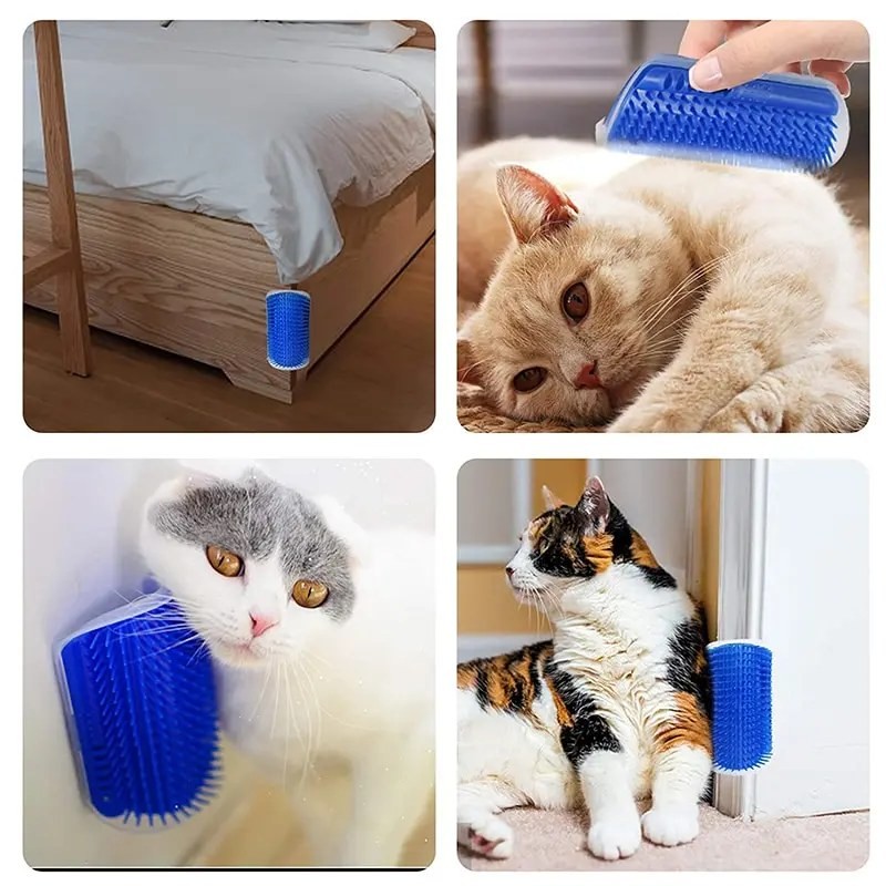 Massage Pet Cat
