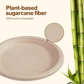 Gracz Compostable Disposable Paper Plates 8 inch Super Strong 100% Bagasse Natural Biodegradable Eco-Friendly Plates || 50Pcs