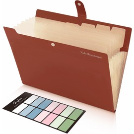 SKYDUE Document Folder A4, 8-Compartment Organiser with Labels, Practical Expanding Folder, Organiser Folder, File Folder, Robust Document Folder for Office, School and Travel (Brown)