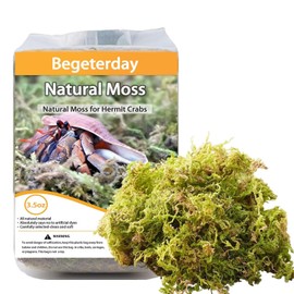 Begeterday 3.5oz Natural Moss for Hermit Crabs, Ideal for Hermit Crab Supplies for Tank Habitat