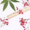 LYFORTZY 30 Pcs Red Baby's Breath Real Dried Pressed Flowers.Vacuum-Packed