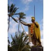 FlagsImp 3'x5' Kanaka MAOLI Hawaii Flag, Hawaiian Sovereignty Banner