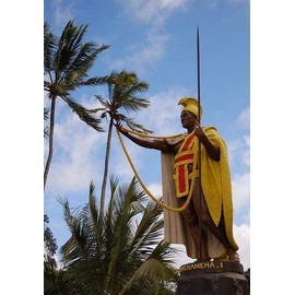 FlagsImp 3'x5' Kanaka MAOLI Hawaii Flag, Hawaiian Sovereignty Banner