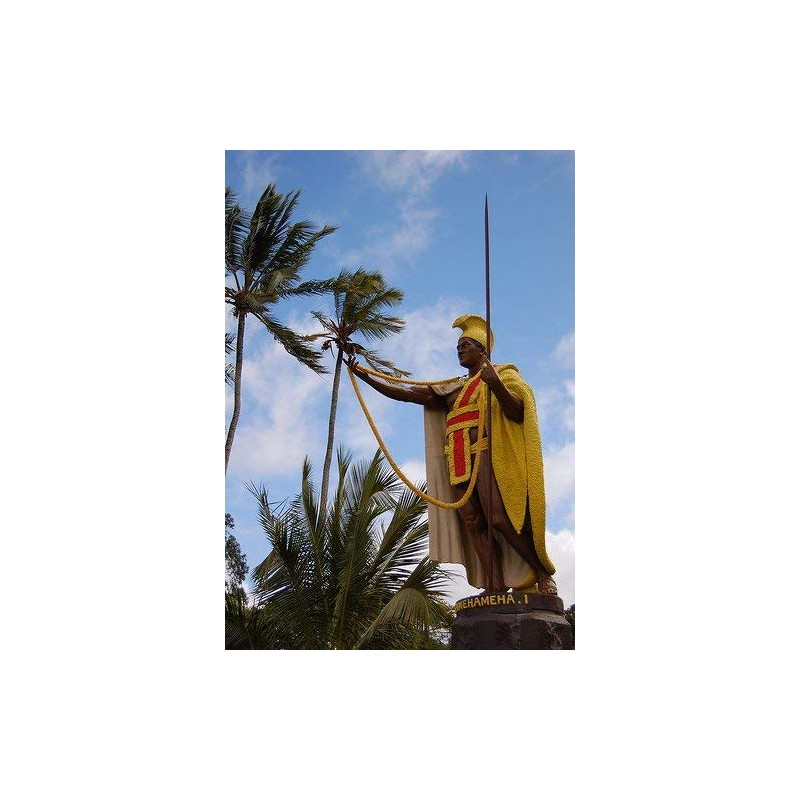 FlagsImp 3'x5' Kanaka MAOLI Hawaii Flag, Hawaiian Sovereignty Banner