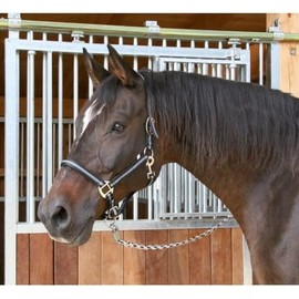 Covalliero Halfter Mustang, Cavezza per Cavalli, Nero/Argento, Poliammide, Full, Taglia 3, Cavalli, Regolabile in 2 Punti, abbinabile alla Cavezza Mustang