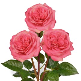 4.7'' Large Artificial Roses - Set of 3 Long-stem Real Touch Silk Flowers, 24.4" Faux Flowers for Home Decor, Wedding Bouquets, Centerpieces & Floral Arrangements – Lifelike Pink Fake Roses