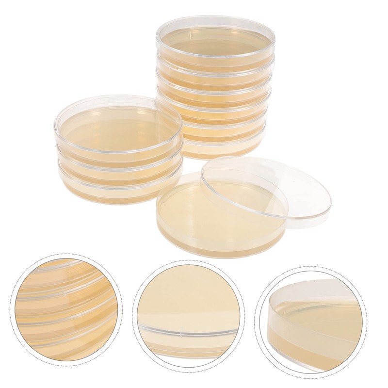 Agar Plates 10pcs Nutrient Agar Plate Toy Tools Glass Mushroom
