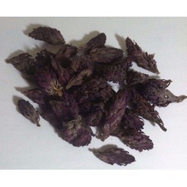 Our Sacred Garden 4 oz. Indian Warrior Flowers (Pedicularis Densiflora) Wildharvested USA