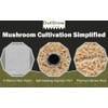 Premium Brown Rice Mushroom Spawn Bag | Sterilized Grain Spawn