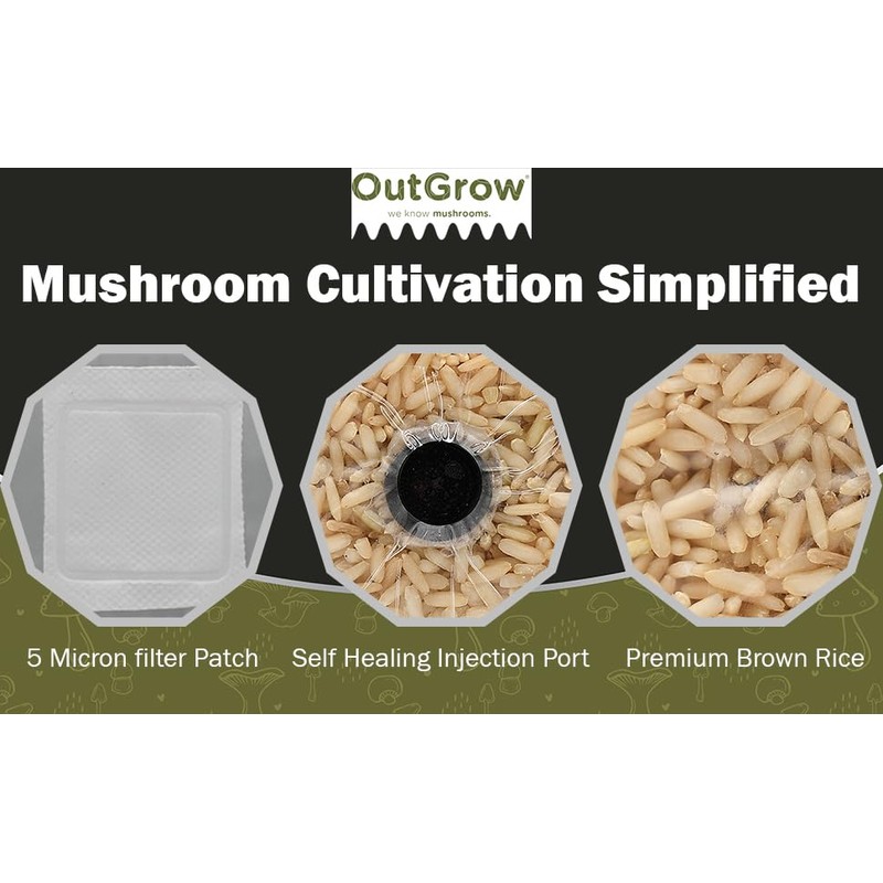 Premium Brown Rice Mushroom Spawn Bag | Sterilized Grain Spawn