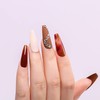 AIMEILI Solid Gel Nail Polish 12 Colors Solid Nail Gel
