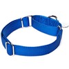 Dazzber Martingale Collar, Medium, Royal Blue, Neck 14 Inch -21
