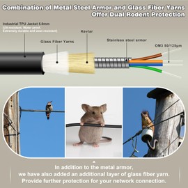 YUTIANHOME 30 Meters 4 Core OM3 Multimode Industrial TPU LC to LC Outdoor Armored Fiber Patch Cable, Direct Burial 4 Strands Fiber Optic Cable, 10Gb Duplex 50/125um MMF LC-LC 4 Fibers