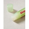 DAISO Blistex Mint Melon Lip Balm