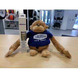 GM Genuine ACDelco 2-In-1 Touch Up Paint Bottle Champagne Silver GWT WA102V & Top Clear Coat